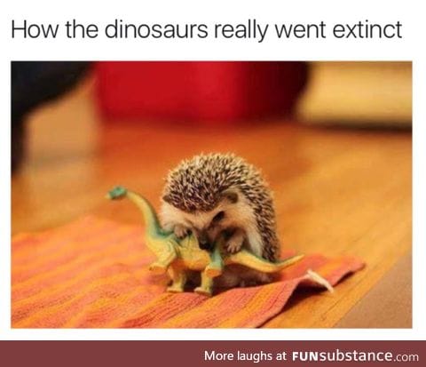 What Really Happened To the Dinosaurs