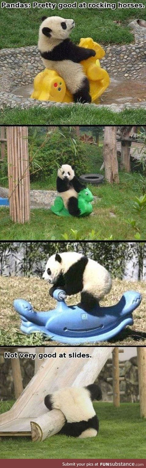 Truth about pandas