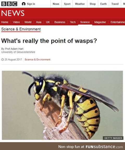 BBC asking the important questions