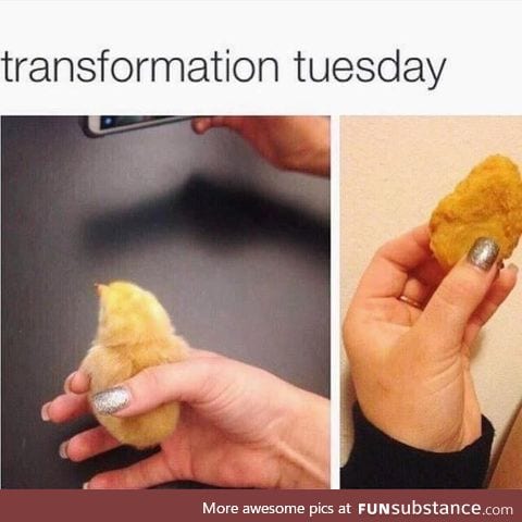 Inspiring tranformation