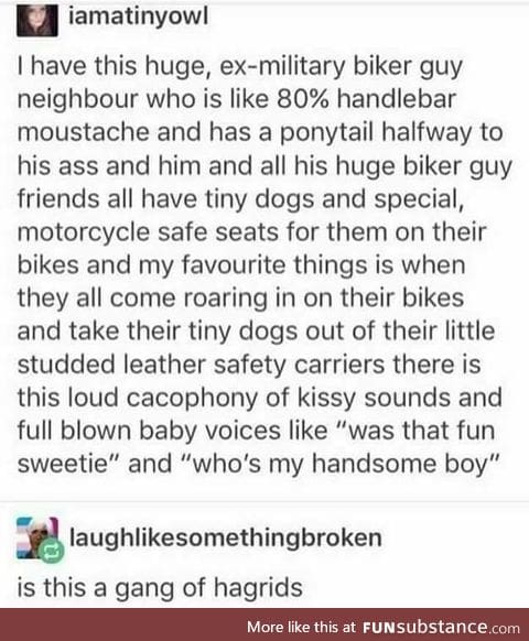 My kind of biker gang