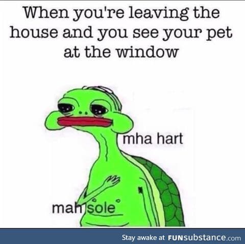 Dog owners will understand