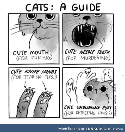 Meownee-chan's guide to.... Cats!