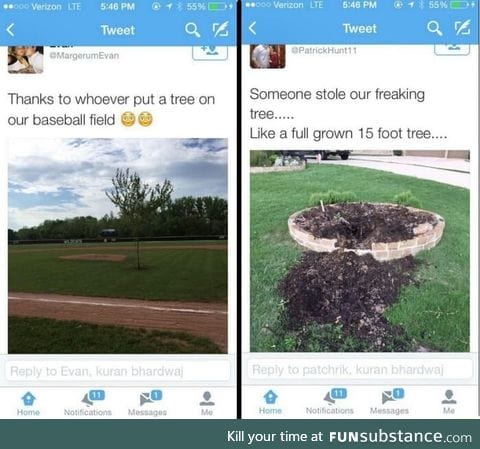 Maybe the tree was just walking around