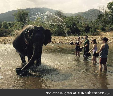 The water flying to the elephant looks a elephant too