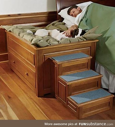 The perfect bed for your dog