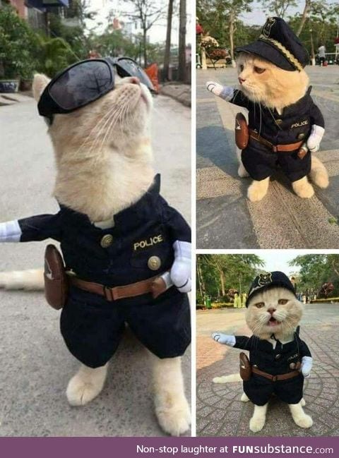 Police cate