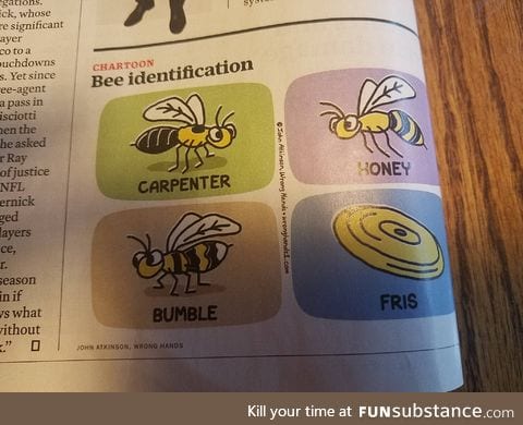 The best type of bees