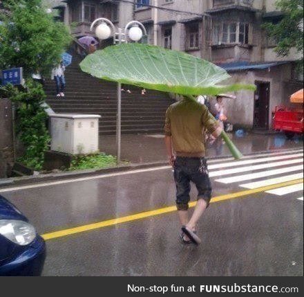 All-natural umbrellas are the best