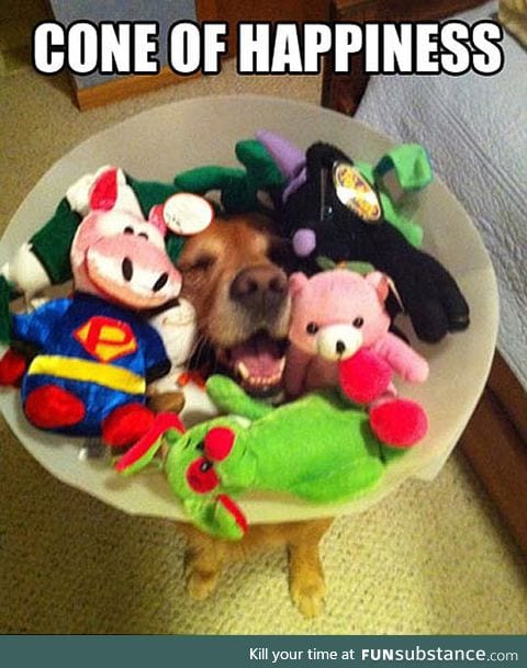 The cone that makes it all better