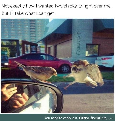 2 chicks fighting over a man