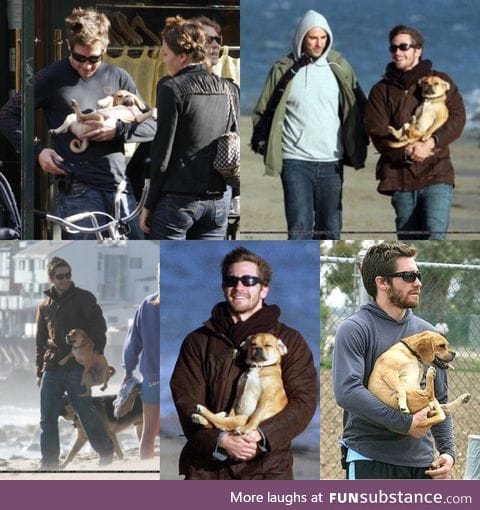 Jake Gyllenhaal incorrectly holding dogs