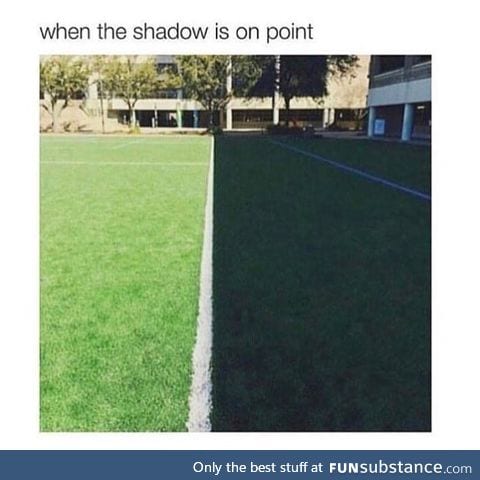 Shadow is on point
