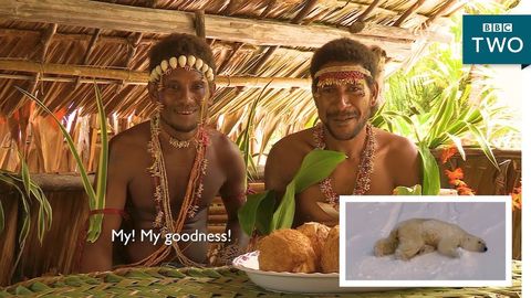 Tribes people from around the world react to a video of a polar bear