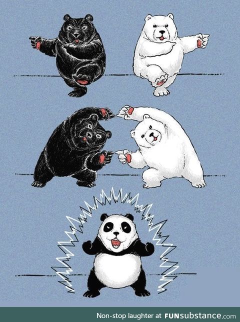 Where pandas really come from.