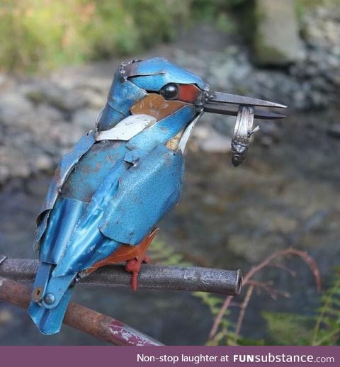 Ladies and Gentleman! This is iron bird!