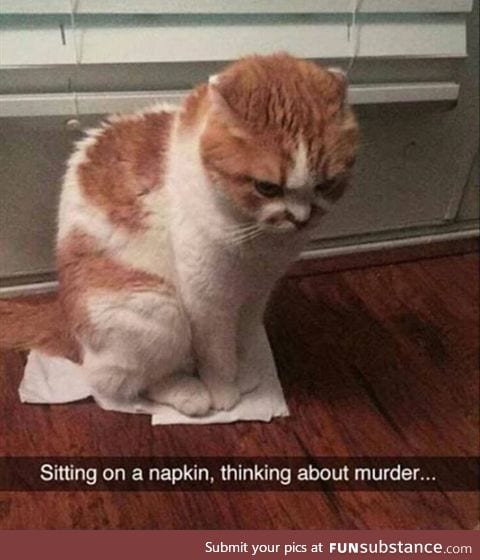 Cute murderer