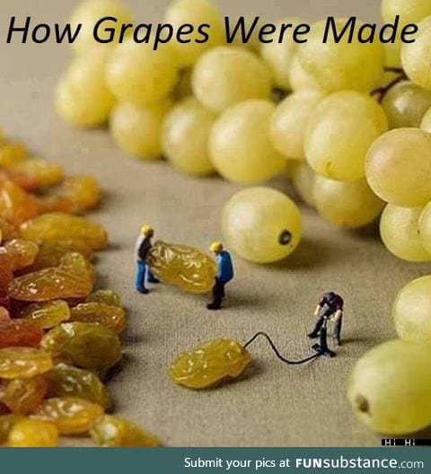 Grape workers