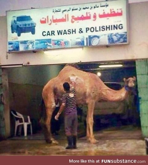 Car wash in Egypt