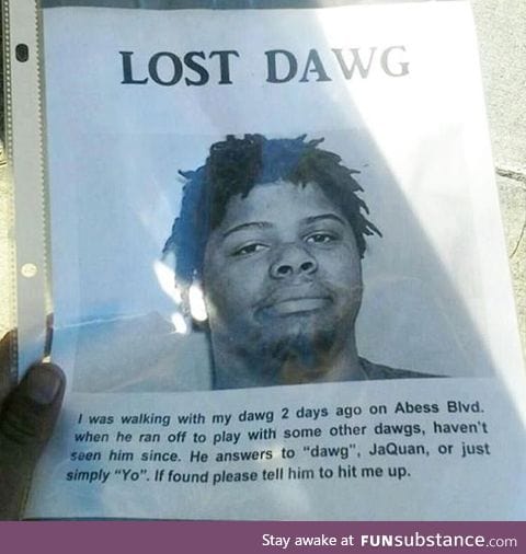 Lost my Dawg!