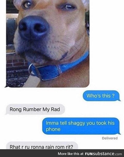 Shaggy lost his phone