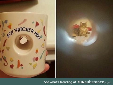 Boy watcher mug