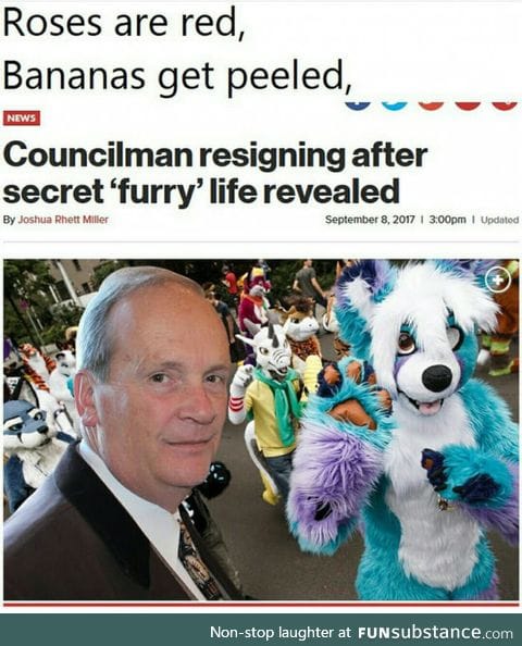 Council of Yiff