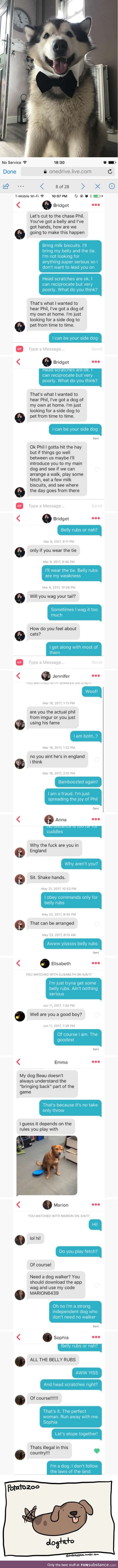 Dog owner creates tinder profile for his malamute phil, and their conversation is cute af