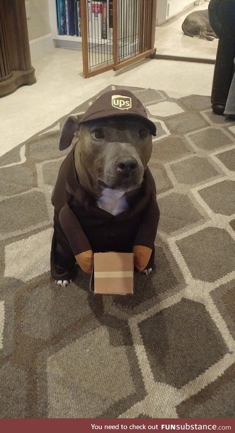 UPS delivery