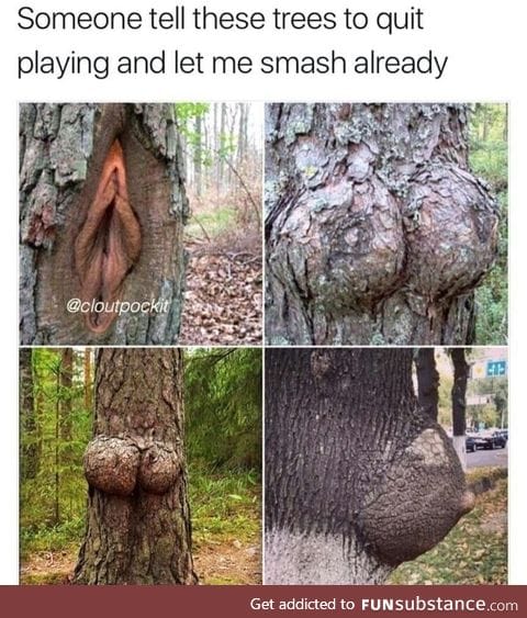 Why is nature so sexy