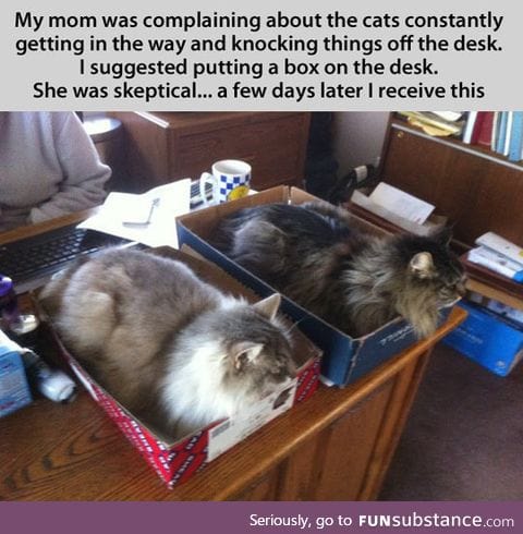 Cat traps