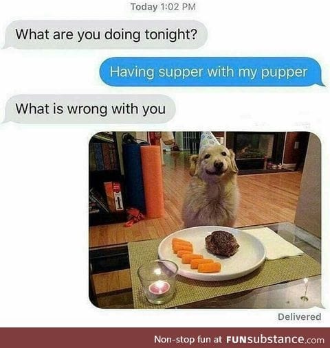 Pupper supper