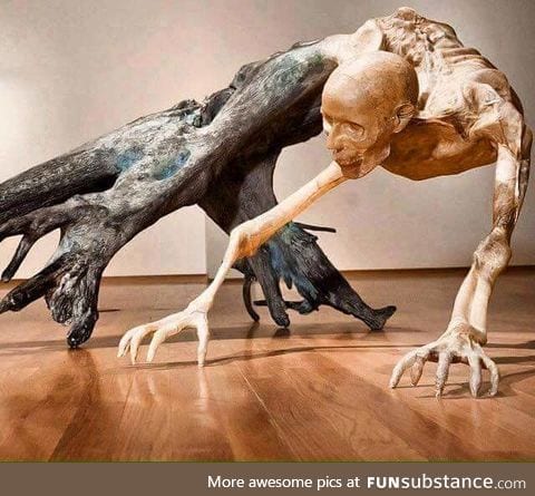 Driftwood statue by Javier Perez