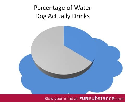 Percentage of water a dog drinks