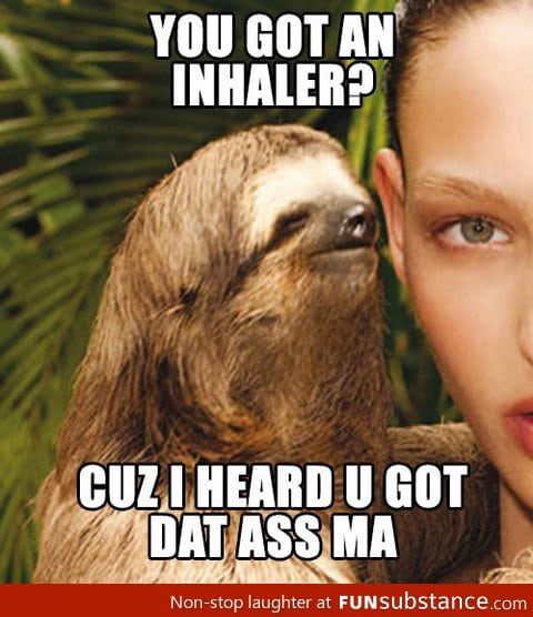 Seductive sloth is getting smoother