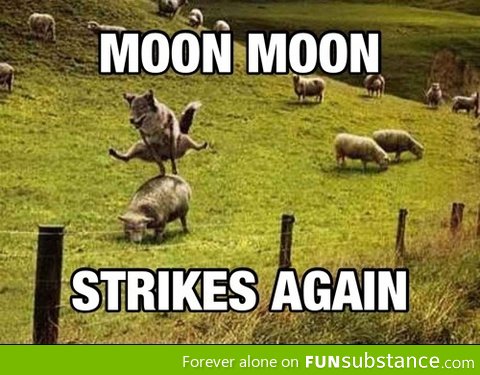 Moon Moon strikes again