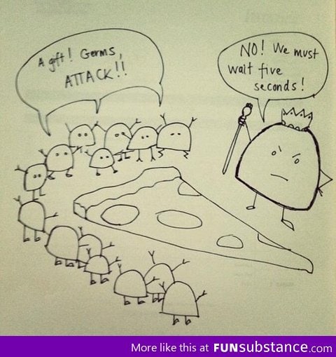 The 5 second rule