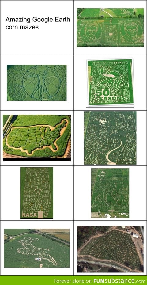 Corn maze art