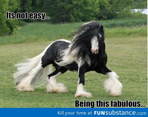 Its not easy being this fab!