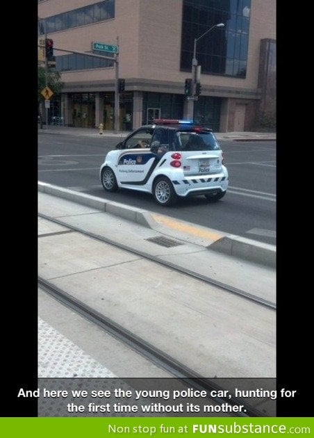 Young police car in the wild