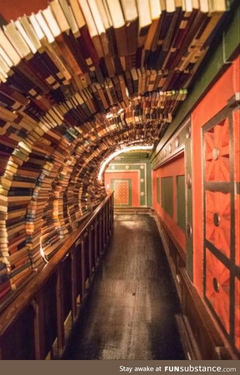 This hallway of books