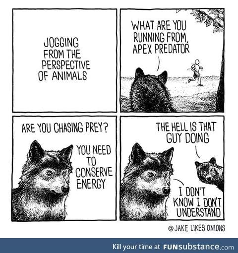 Jogging from the perspective of animals