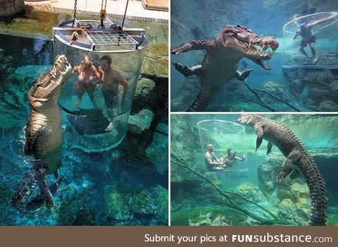 Crocodile zoo