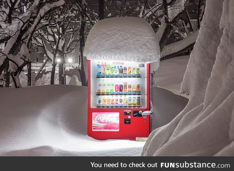 A Japanese Coke Machine in the Snow