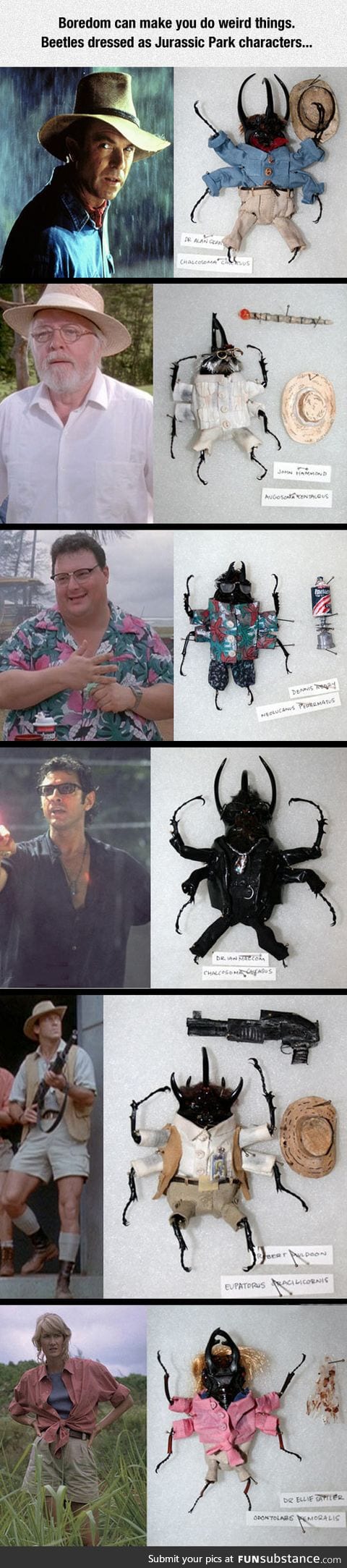 Beetles as jurassic park characters