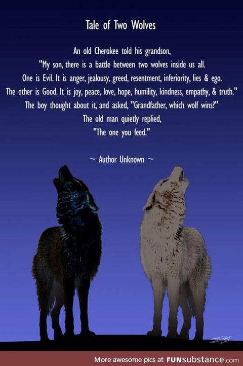 Story of two wolves