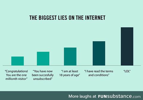 Biggest lies on the internet