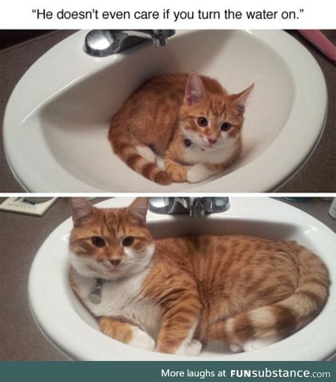 It's His Sink Now