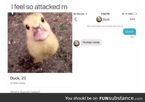 Matched with a duck