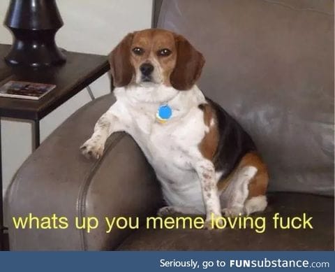 This is Updog.